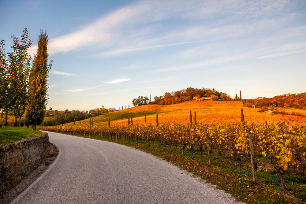 Wenig bekannten Weinregionen Italiens entdecken